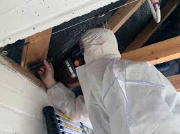 The Importance of Asbestos Testing in Buildings