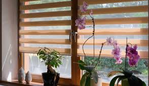 The Pros and Cons of Various Blinds Materials